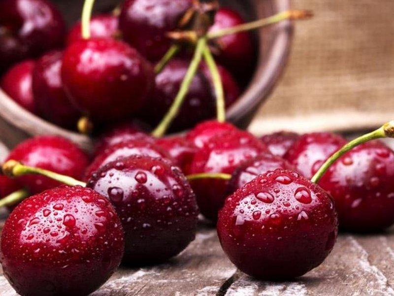 Вишня купить саженцы из питомника в Сальске